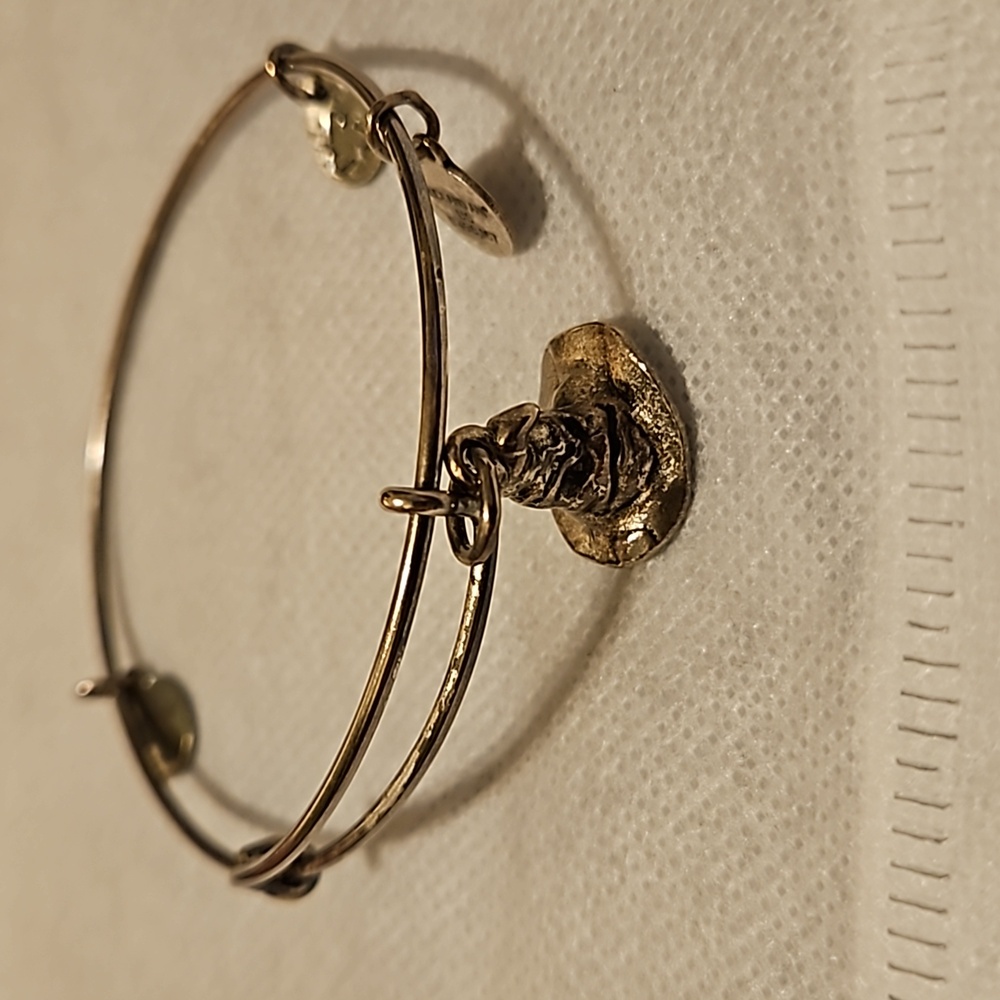 Alex & Ani Sorting Hat Bracelet